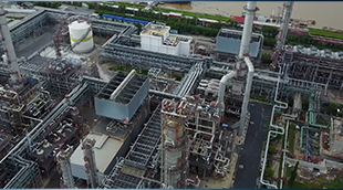 Engineering Integrity Analysis