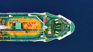 Designed For Sea