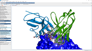 Computational Structural Biologist