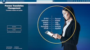 Process Translation Manager