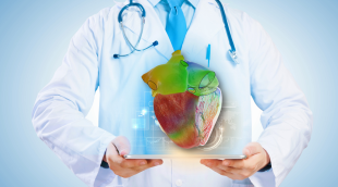 Living Heart Human Model