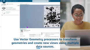 Geospatial Data Engineer