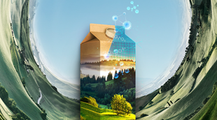 360 Sustainable Innovation