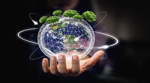 Sustainability Driven Engineering